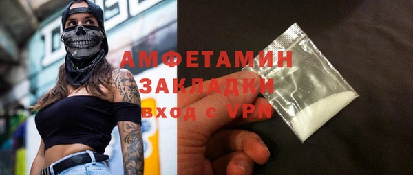 твердый Ельня