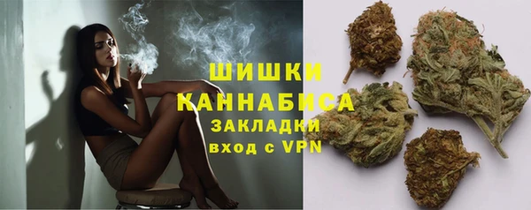 твердый Ельня