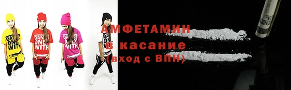 твердый Ельня