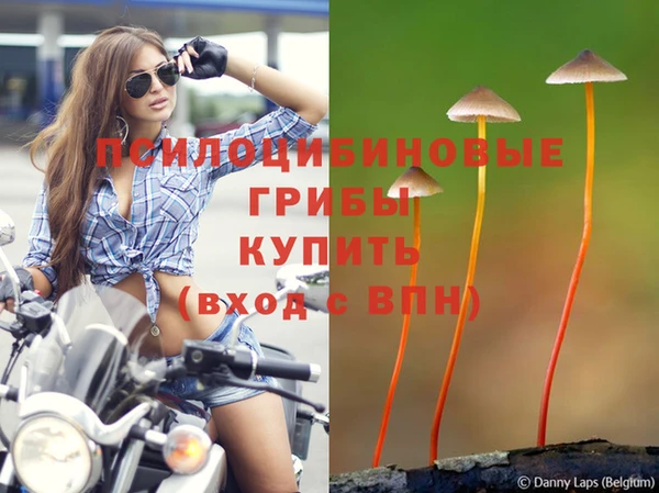 герыч Елизово